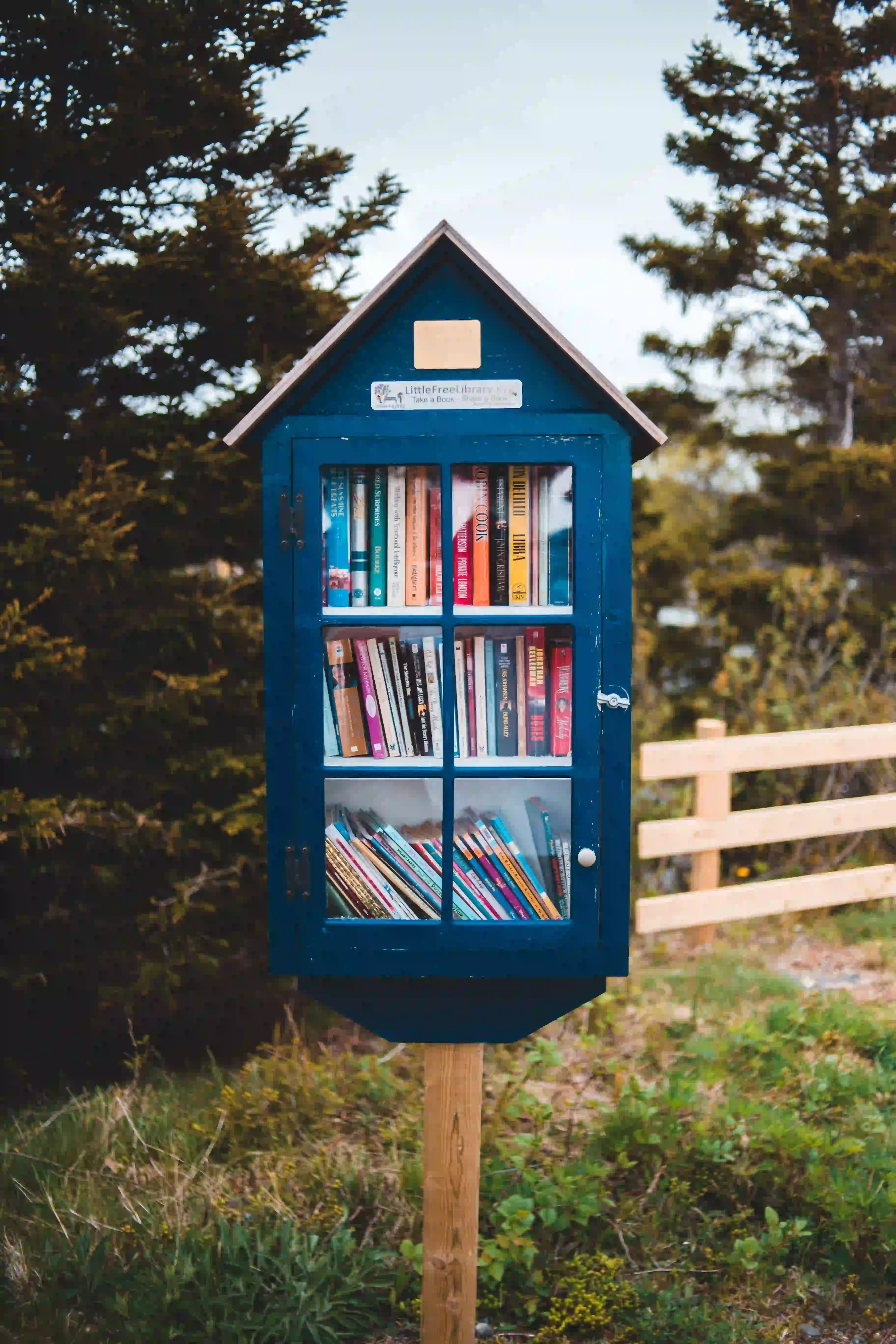 literature category