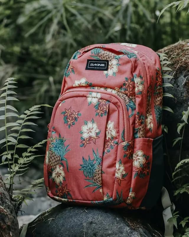 accessories category