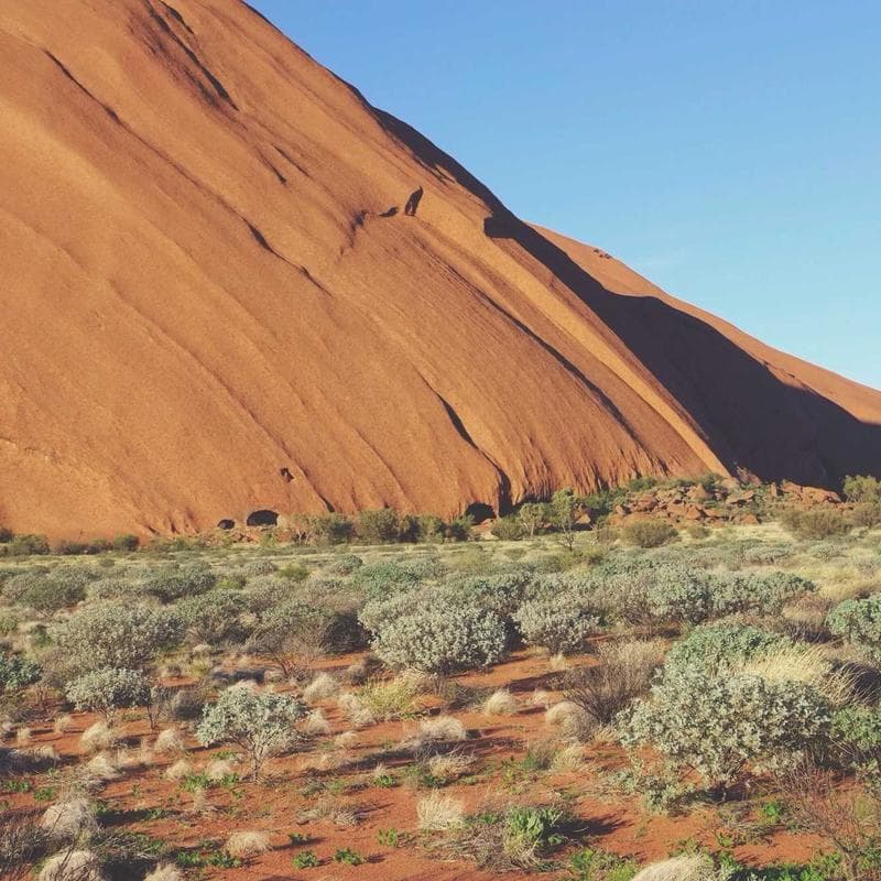 Luxurious Plastic Ball