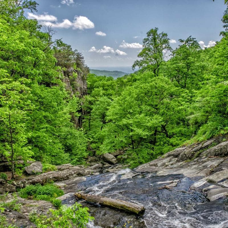 Incredible Plastic Chair