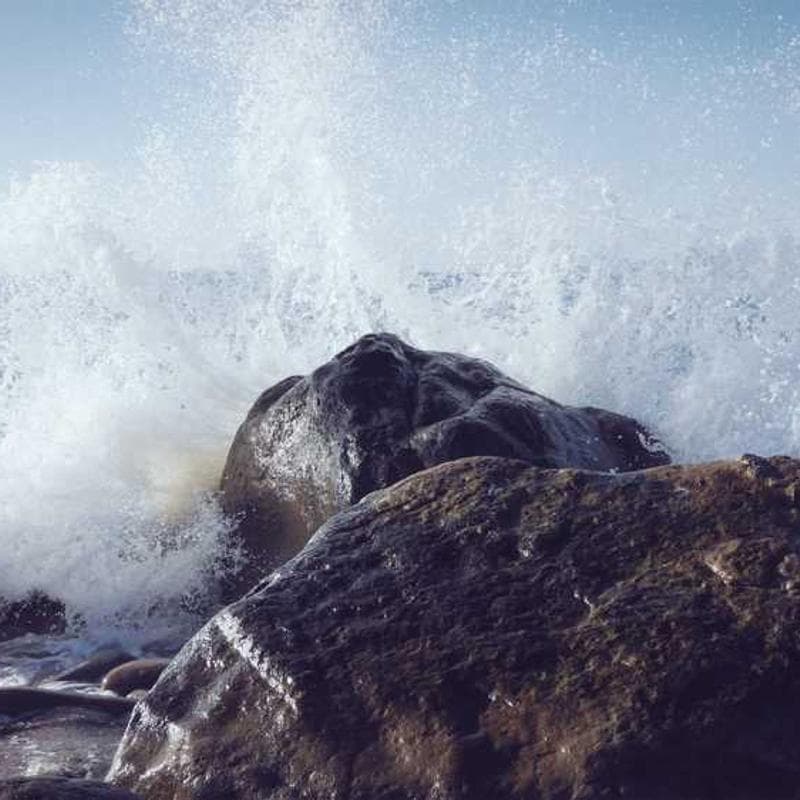 Fantastic Bronze Cheese