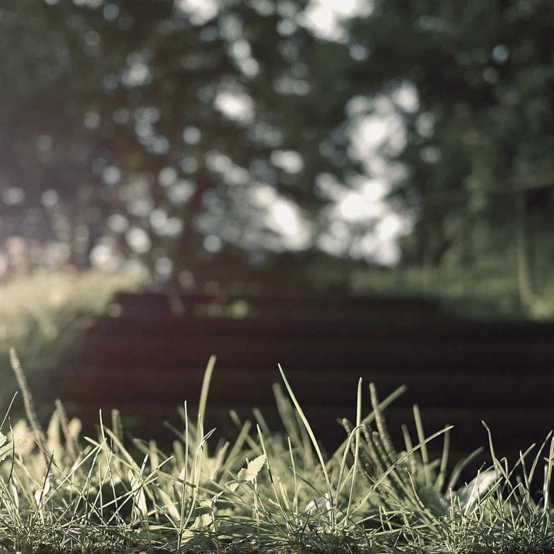 Unbranded Steel Tuna