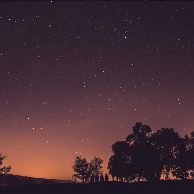 Elegant Frozen Bacon