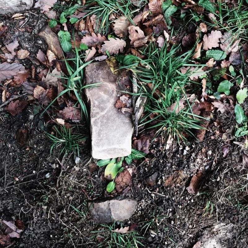 Refined Plastic Chicken