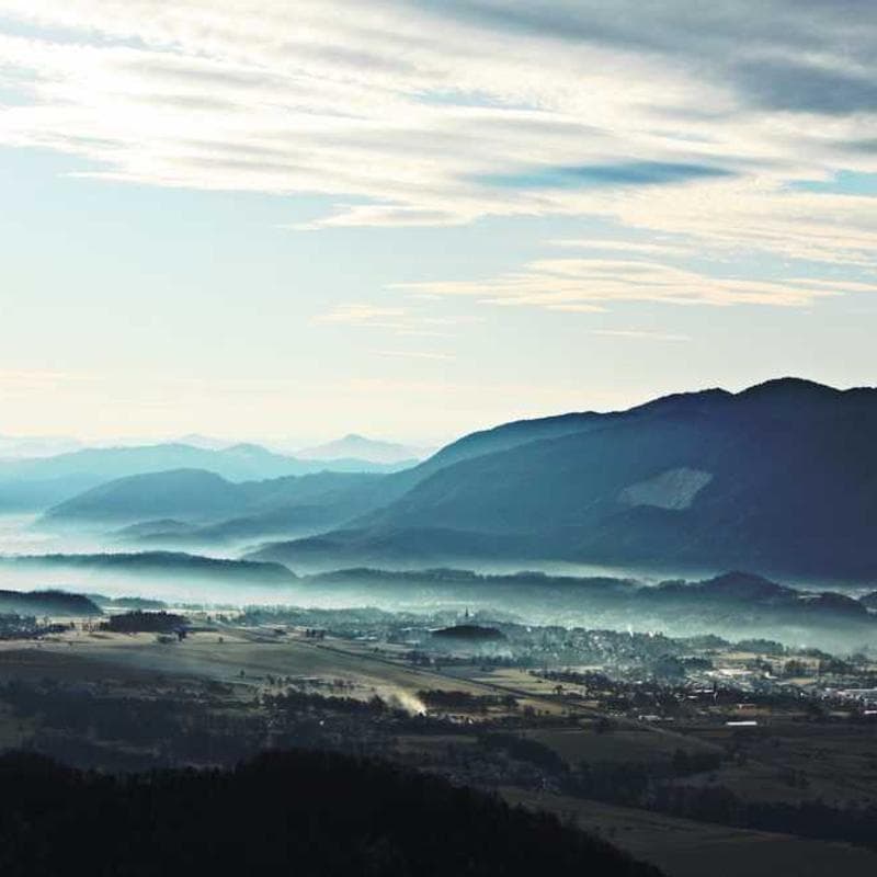 Awesome Plastic Fish