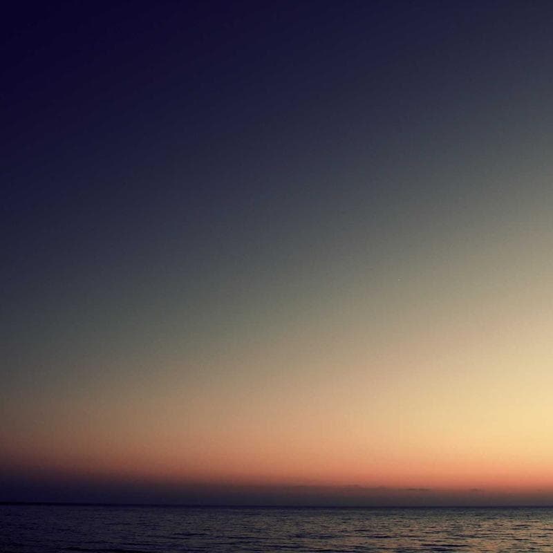 Fantastic Soft Chips