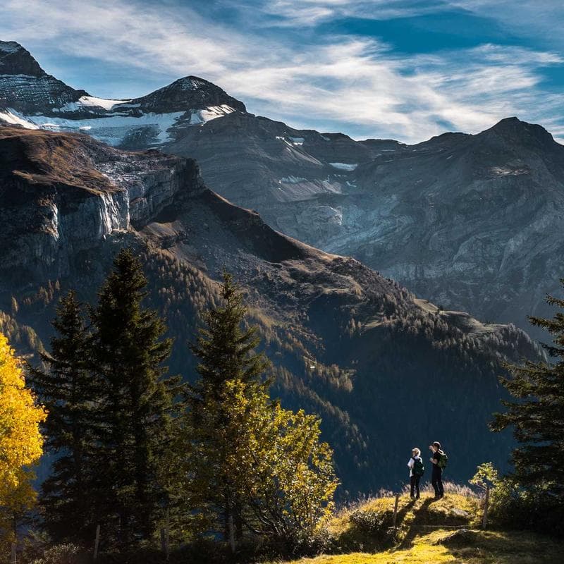 Gorgeous Frozen Shoes