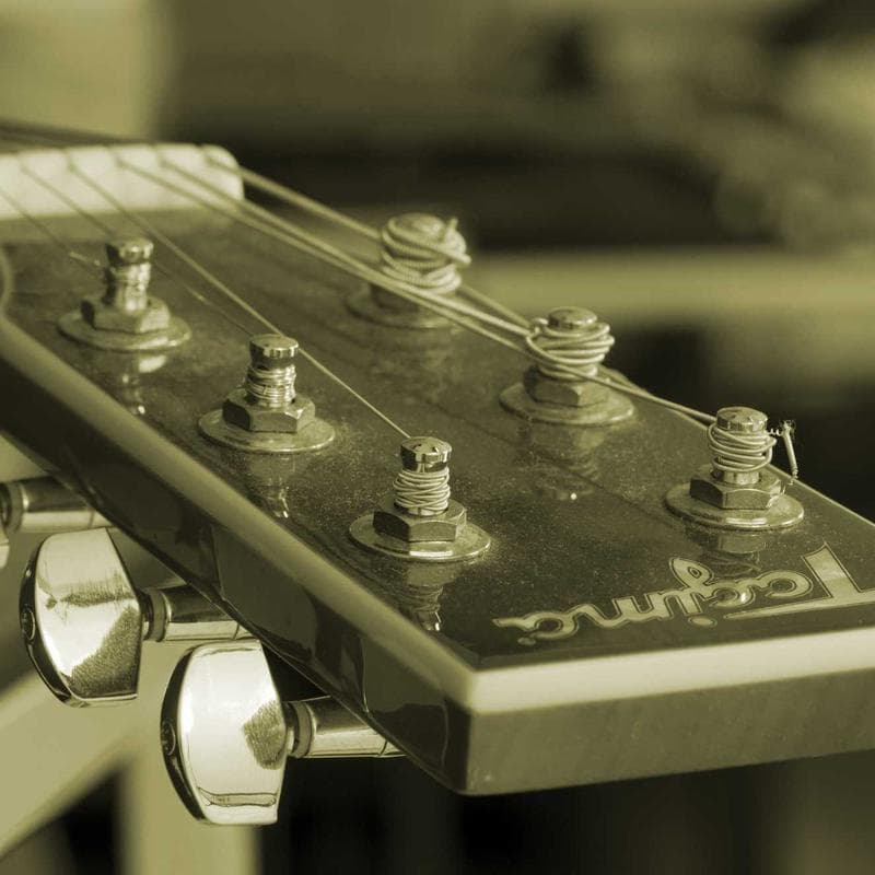 Luxurious Frozen Pants