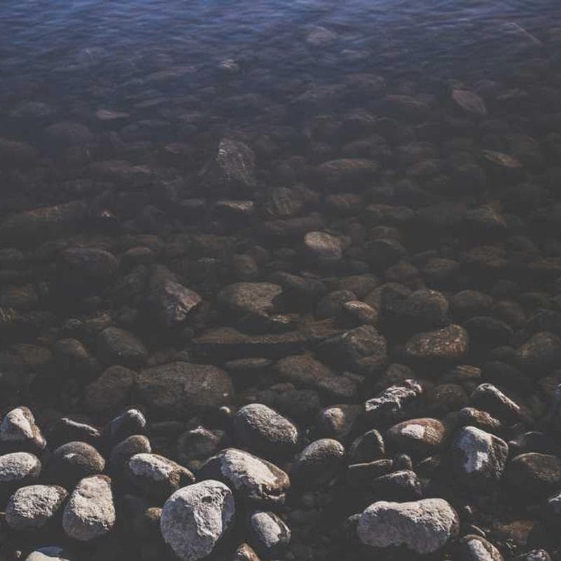 Luxurious Steel Salad