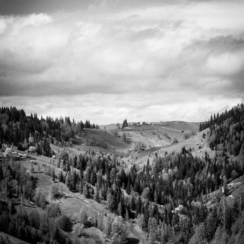 Handcrafted Steel Hat