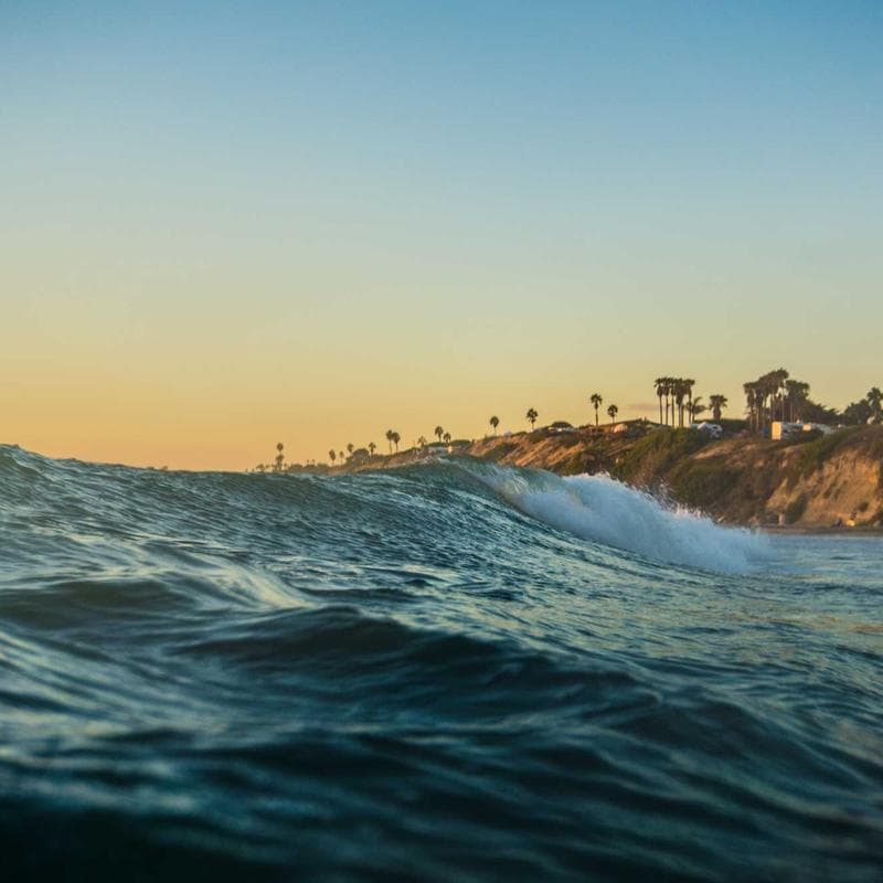 Handmade Frozen Chicken