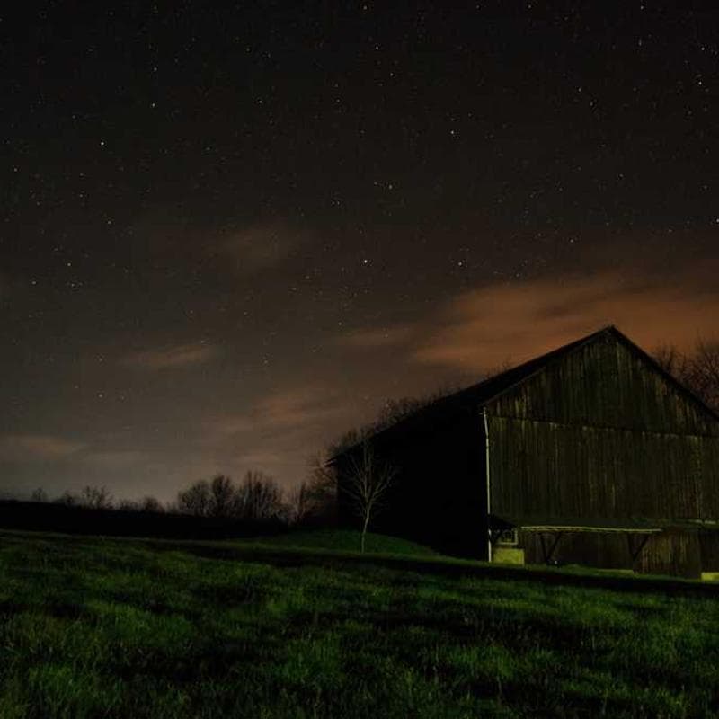 Electronic Soft Ball