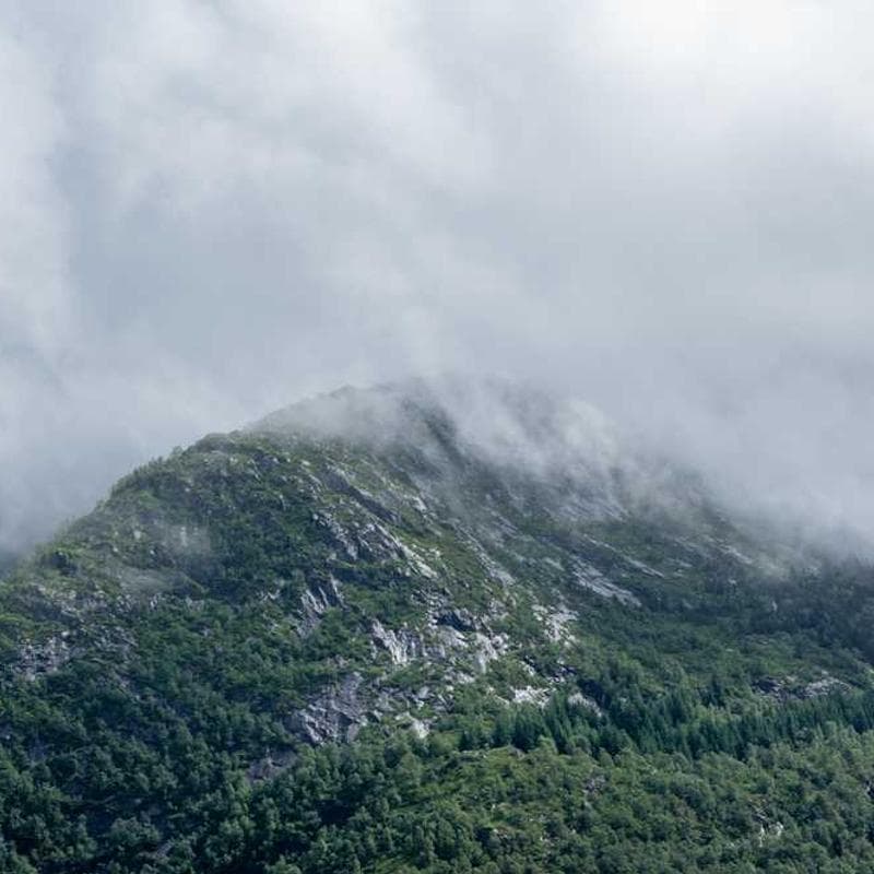 Licensed Plastic Chips