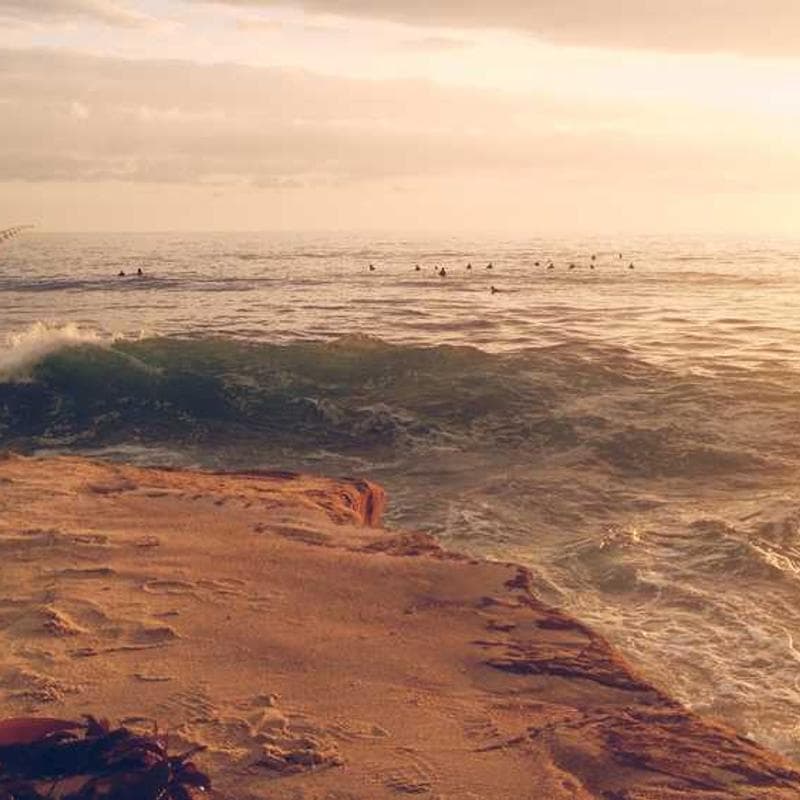 Luxurious Bronze Towels