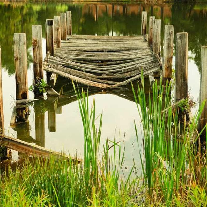 Awesome Rubber Sausages