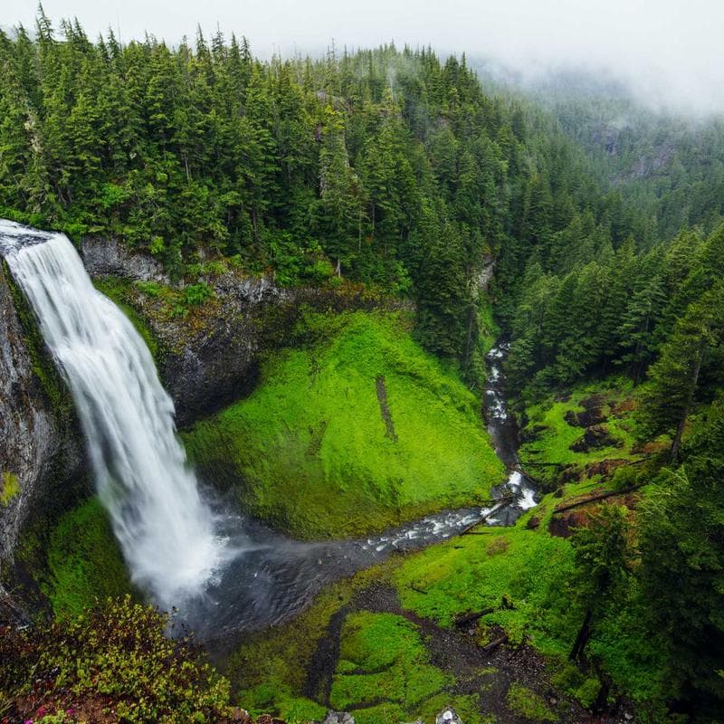 Ergonomic Wooden Shoes