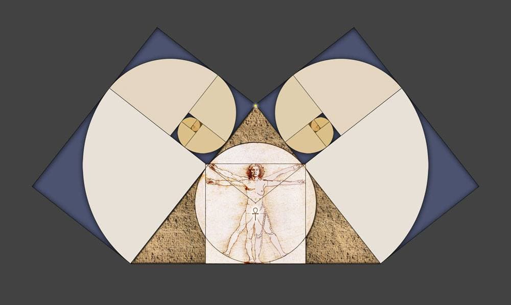 4444444 - Image 2