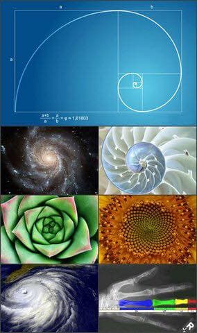 77777 - Image 1